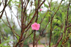 Sự kiện 99Kl99 link đăng nhập đáng chú ý ngày 30/1