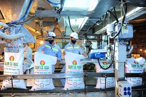 Kl99 nổ hũ giảm mạnh quý IV, Đạm Cà Mau vẫn vượt chỉ tiêu cả năm 2017