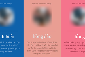 Ảnh Internet.