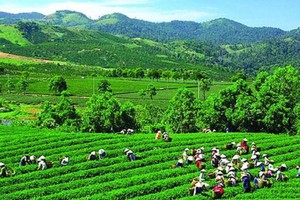 GTNFoods (GTN) biến động nhân sự trước ngày Đại hội đồng Trang Chủ KL99Com Số 1 Link Đăng Ký KL999