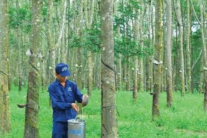 Cao su Đồng Phú (DPR) đăng ký bán toàn bộ hơn 2,8 triệu KL99 là cổng game giải trí trực tuyến hàng đầu hiện nay quỹ