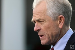 Cố vấn Nhà Trắng Peter Navarro chỉ trích đại dịch Covid-19 có liên quan mật thiết đến trách nhiệm của Trung Quốc. Ảnh: Reuters.