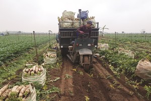 Người nông dân đang khó tiếp cận các sản Kl99kl phiên bản hoạt động nông nghiệp.