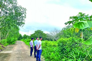 Nhà Kl99ok phiên bản mới đi săn đất nền. Ảnh: Vũ Dũng.
