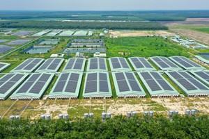 Giữa “tâm bão” ngành chăn nuôi, BAF nỗ lực giữ biên Kl99 nổ hũ 