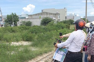 Ảnh minh họa