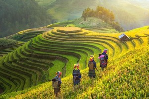 Việt Nam vẫn được các quỹ Kl99ok phiên bản mới “yêu thương”