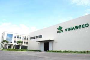 Vinaseed (NSC): Kl99 nổ hũ năm 2022 đạt 226 tỷ đồng, đi ngang so với 2021