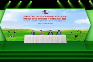 Bà Mai Kiều Liên và những câu trả lời “không” tại Đại hội Trang Chủ KL99Com Số 1 Link Đăng Ký KL999 Vilico (VLC)