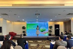 Quy định mới yêu cầu Kl991.com World Cup 2026 Chính Thức phải tuân thủ kiểm kê phát thải khí nhà kính