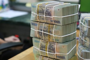 Nghị quyết 79-NQ/TW và bước ngoặt thể chế của VAMC