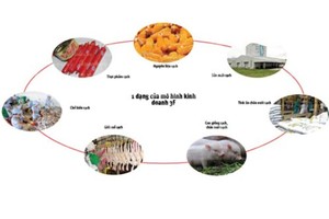 Chi phí Kl99ok phiên bản mới của Masan để phát triển nền tảng 3F (Feed – Farm – Food) hàng đầu Việt Nam tương đương với mức 12 lần Kl99 nổ hũ