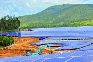 Đức Long Gia Lai (DLG): Doanh thu sau kiểm toán đạt hơn 2.873 tỷ đồng