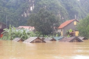 ADB phê duyệt khoản viện trợ 2,5 triệu USD để hỗ trợ Việt Nam ứng phó thiên tai