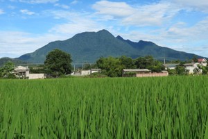 Ba Vì mở đấu giá đất, nhà Kl99ok phiên bản mới cần lưu ý những gì?