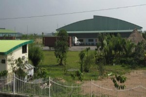 Hoa khôi tuần qua: "Vương miện" thuộc về "người lùn" VID