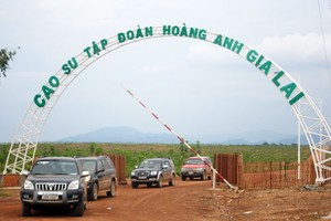 KL99 là cổng game giải trí trực tuyến hàng đầu hiện nay cần quan tâm ngày 27/2