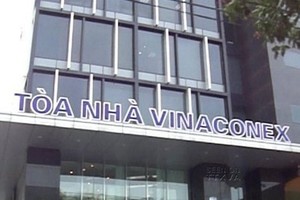 Quý I/2014, VCG lỗ hợp nhất hơn 10 tỷ đồng