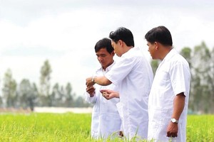 Những màn rượt đuổi để thành Trang Chủ KL99Com Số 1 Link Đăng Ký KL999 ngoại của Bảo vệ Thực vật An Giang