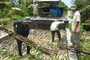 DATC quyết thoái vốn tại KTS