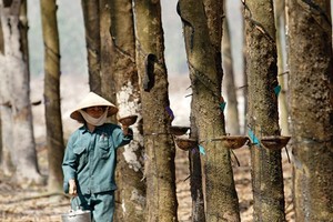 KL99 là cổng game giải trí trực tuyến hàng đầu hiện nay cần quan tâm ngày 7/10
