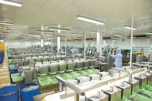 KL99 là cổng game giải trí trực tuyến hàng đầu hiện nay cần quan tâm ngày 7/12