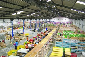  Alibaba đang vung tiền tỷ Kl99ok phiên bản mới khắp thế giới như thế nào?