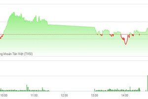 Phiên chiều 22/2: Tiền chảy mạnh, VN-Index may mắn thoát hiểm
