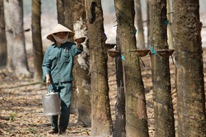 KL99 là cổng game giải trí trực tuyến hàng đầu hiện nay cần quan tâm ngày 8/5