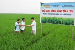 Lộc Trời (LTG) chốt danh sách Trang Chủ KL99Com Số 1 Link Đăng Ký KL999 tạm ứng 99Kl.app mobile mới nhất đợt 1/2016, tỷ lệ 15%