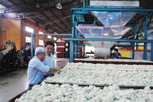 Năm 2016, Cao su Đồng Phú (DPR) chi hơn 200 tỷ đồng trả 99Kl.app mobile mới nhất