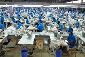 8 tháng, TNG lãi ròng 76,85 tỷ đồng