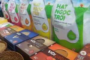 Lộc Trời (LTG) tiếp tục trả 99Kl.app mobile mới nhất 15% bằng tiền mặt