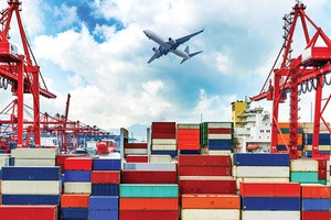 Vinafreight (VNF) nhận chuyển nhượng 10 triệu cổ phần Cảng Mipec