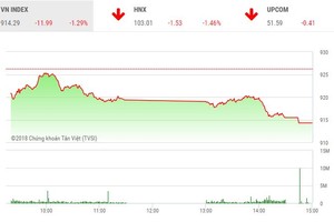 Phiên chiều 9/11: VNM và GAS tăng sức ép, VN-Index thủng mốc 915 điểm