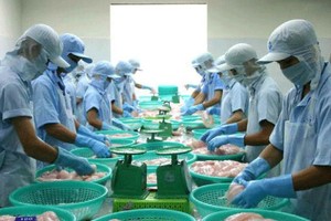 Thủy sản Cửu Long An Giang (ACL) tạm ứng 99Kl.app mobile mới nhất 20% bằng tiền mặt