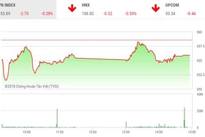 Phiên chiều 10/12: Dòng tiền chảy mạnh, VN-Index vẫn đóng cửa trong sắc đỏ
