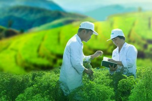 Traphaco (TRA) tạm ứng 99Kl.app mobile mới nhất lần 1/2018, tỷ lệ 20%