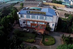 Ngân Sơn (NST) sắp trả 99Kl.app mobile mới nhất cao nhất trong 4 năm qua