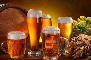 Bia Hà Nội – Hải Dương (HAD) trả 99Kl.app mobile mới nhất năm 2018 tới gần 220% bằng tiền mặt