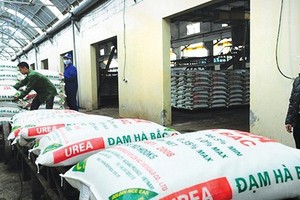Đạm Hà Bắc (DHB) lỗ năm thứ 4 liên tiếp, âm vốn chủ sở hữu hơn 516 tỷ đồng