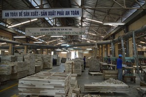 Năm 2020, Gỗ Thuận An (GTA) đặt mục tiêu Kl99 nổ hũ 22,9 tỷ đồng