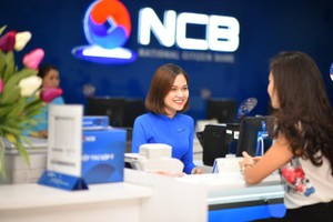 Link Vào Nhà Cái KL99 COM Tặng +199k Quốc dân (NVB): Con Chủ tịch chi khoảng 66 tỷ đồng mua hơn 8 triệu KL99 là cổng game giải trí trực tuyến hàng đầu hiện nay