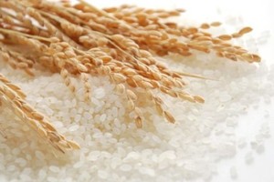 Vinafood II (VSF) bị phạt 50 triệu đồng do lỗi chậm công bố báo cáo Kl991.com nạp rút nhanh