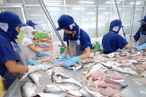Nam Việt (ANV) chi hơn 127 tỷ đồng tạm ứng 99Kl.app mobile mới nhất đợt 1/2019