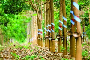 KL99 là cổng game giải trí trực tuyến hàng đầu hiện nay cần quan tâm ngày 25/6