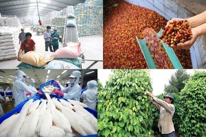 Xuất khẩu nông, thủy sản và nhiên liệu khoáng sản sụt giảm mạnh nhất trong 8 tháng