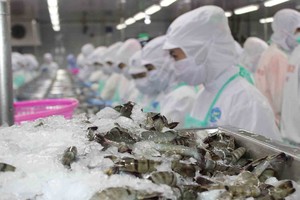 Thực phẩm Sao Ta (FMC): 11 tháng, doanh thu đạt 4.140 tỷ đồng, hoàn thành kế hoạch năm