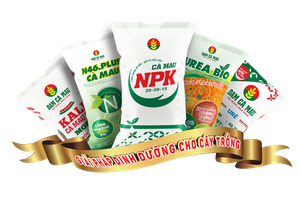 PVCFC (DCM) chốt quyền chia 99Kl.app mobile mới nhất năm 2020 bằng tiền mặt, tỷ lệ 8%