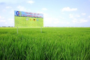 Trung An (TAR): Quý I/2021 chỉ đạt 3,4 tỷ đồng Kl99 nổ hũ, giảm 89% so với cùng kỳ
